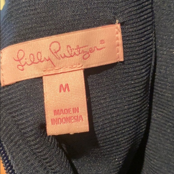 Lilly Pulitzer Dress - Picture 3 of 3